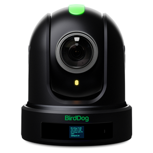 BIRDDOG P110 10X Full NDI PTZ Camera (Black)