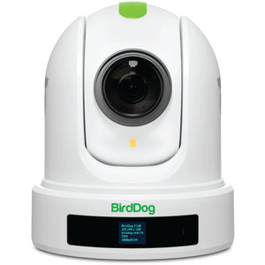 BIRDDOG P110 10X Full NDI PTZ Camera (White)