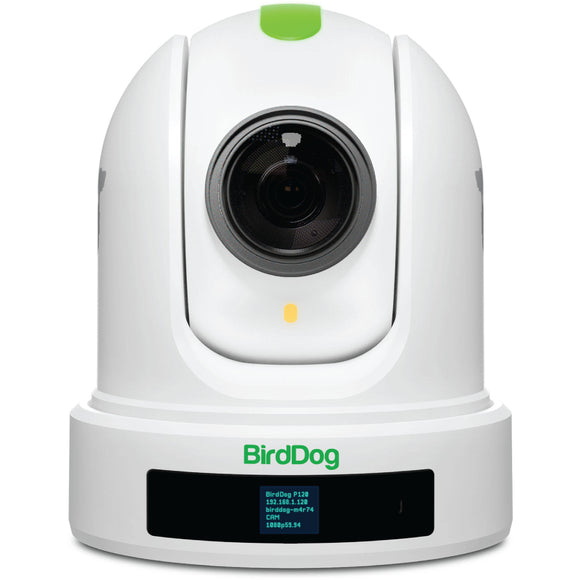 BIRDDOG P120 20X Full NDI PTZ Camera (White)