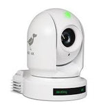 BIRDDOG EYES BDP400B 20X 10-Bit NDI 4K Camera (White)