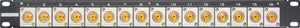 16 Point 1RU Flushmount RCA To Solder Point