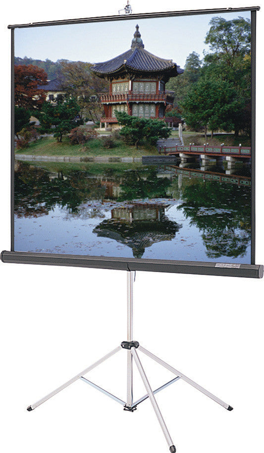 Da-Lite 40124 Picture King 60x60 Matte White Tripod Projection Screen