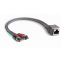 StudioHub ADAPT-RCAM  RCA Male to RJ-45 Adapter - 8inch