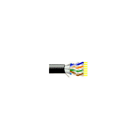 Belden 1300A CAT5e 4 Twisted Pairs 24 AWG Wireless LAN Cable 500FT