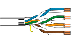 Belden 1701A Enhanced CAT5e Plenum 24 AWG Data Cable 1000FT Green