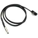 Delvcam Anton Bauer PowerTap to 2.1mm Plug Adapter Cable 2ft