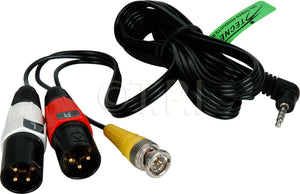 Delvcam DELV-AVBX-6 AV Cable 3.5mm TRRS to BNC and XLR Male Plugs 6FT