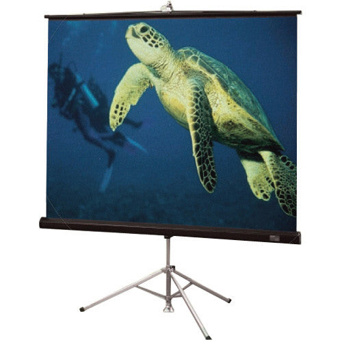 Draper 213001 Diplomat 50in x 50in Matte White Portable Tripod Projection Screen