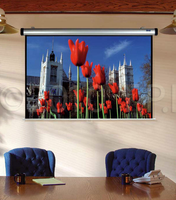 Da-Lite 38832 69x92 Inch Video Format Easy Install Manual Screen with CSR