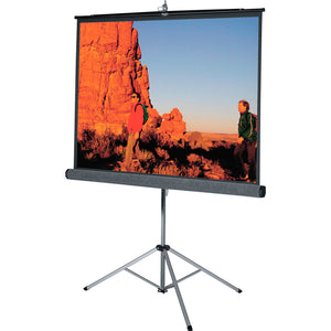 Da-Lite 76752 50x67 Inch Matte White Picture King Screen