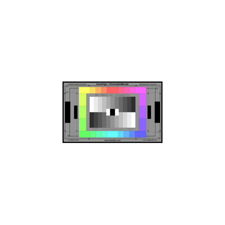 DSC Labs SRW-CDM12-4 ChromaDuMonde 12+4 CamAlign Chip Chart (Senior 24