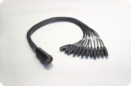 Gepco DT12 Male to 12 XLR Female Snake 3FT