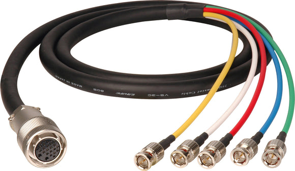 JVC 26-Pin Female to 5-BNC Male Component Cable 10FT