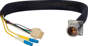 Camplex LEMO EDW to Dual ST & 6-Pin Amp Power Fiber Breakout Cable 6 Inch