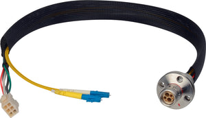 Camplex LEMO FXW to Dual ST & 6-Pin Amp Power Fiber Breakout Cable 18 Inch