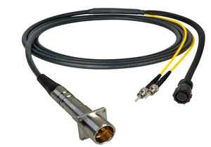 Camplex LEMO PBW to Dual ST & 8-Pin Amp In-Line Fiber Breakout 10 Foot