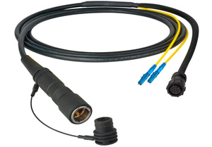 Camplex LEMO PUW to Duplex LC & 8-Pin Amp In-Line Fiber Breakout 50 Foot