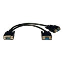 Tripplite P516-001 HD15M to 2 x HD15F VGA / XVGA Splitter Cable 1ft