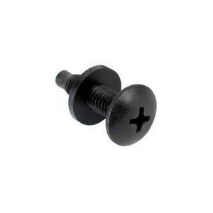 Raxxess PTSW-100 100 Phillips 10/32 Rack Screws & Washers