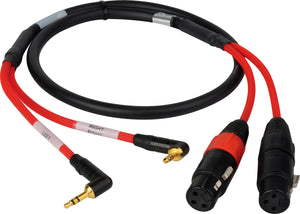 2-Channel Stereo 3.5mm Male to XLR Female Red Camera Audio Input Cable - 2-Foot