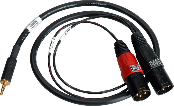 Sescom SES-IPOD-XLRM03 3.5mm Mini Stereo Plug to Dual XLR-M Plugs 3 Ft