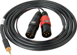 Sescom SES-IPOD-XLRM06 3.5mm Mini Stereo Plug to Dual XLR-M Plugs 6 Ft