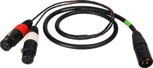 TecNec Premium Y-Cable - XLR Male to 2 XLR Female 3FT