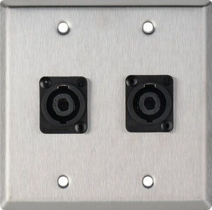 Double-Gang Brass Wall Plate with 2 Neutrik NL4MP -D-Series 4 Pole Speakon