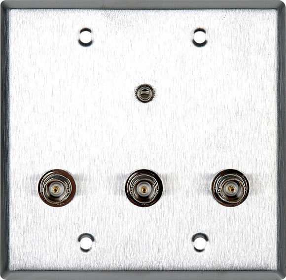 Double-Gang Gray Lexan Wall Plate with 3 BNC RGB Barrels & 1 Stereo Mini Jack