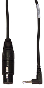 Pro XLR to Right Angle Mini Cable for Adapting Microphone to Stereo Mini Inputs 10FT