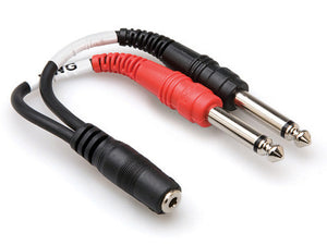 TecNec Y-MFS-2SP Stereo Mini 3.5mm Female to Dual Mono 1/4in Male Y-Cable 6 Inch