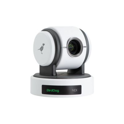 BirdDog Eyes P100 1080P Full NDI PTZ Camera with SDI (White)